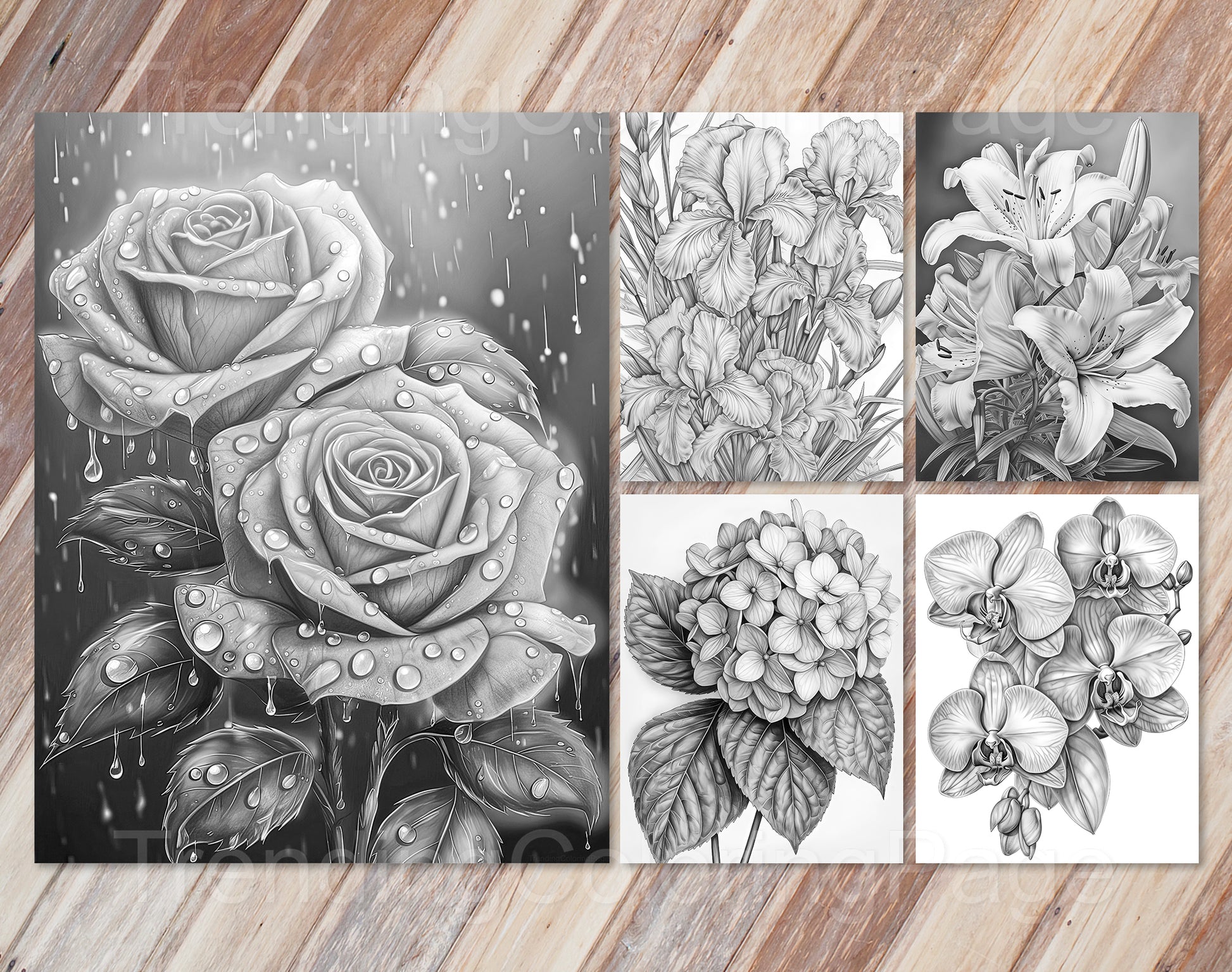 30 Enchanted Blooms Grayscale Coloring Pages - Instant Download - Printable PDF Dark/Light – preview 5