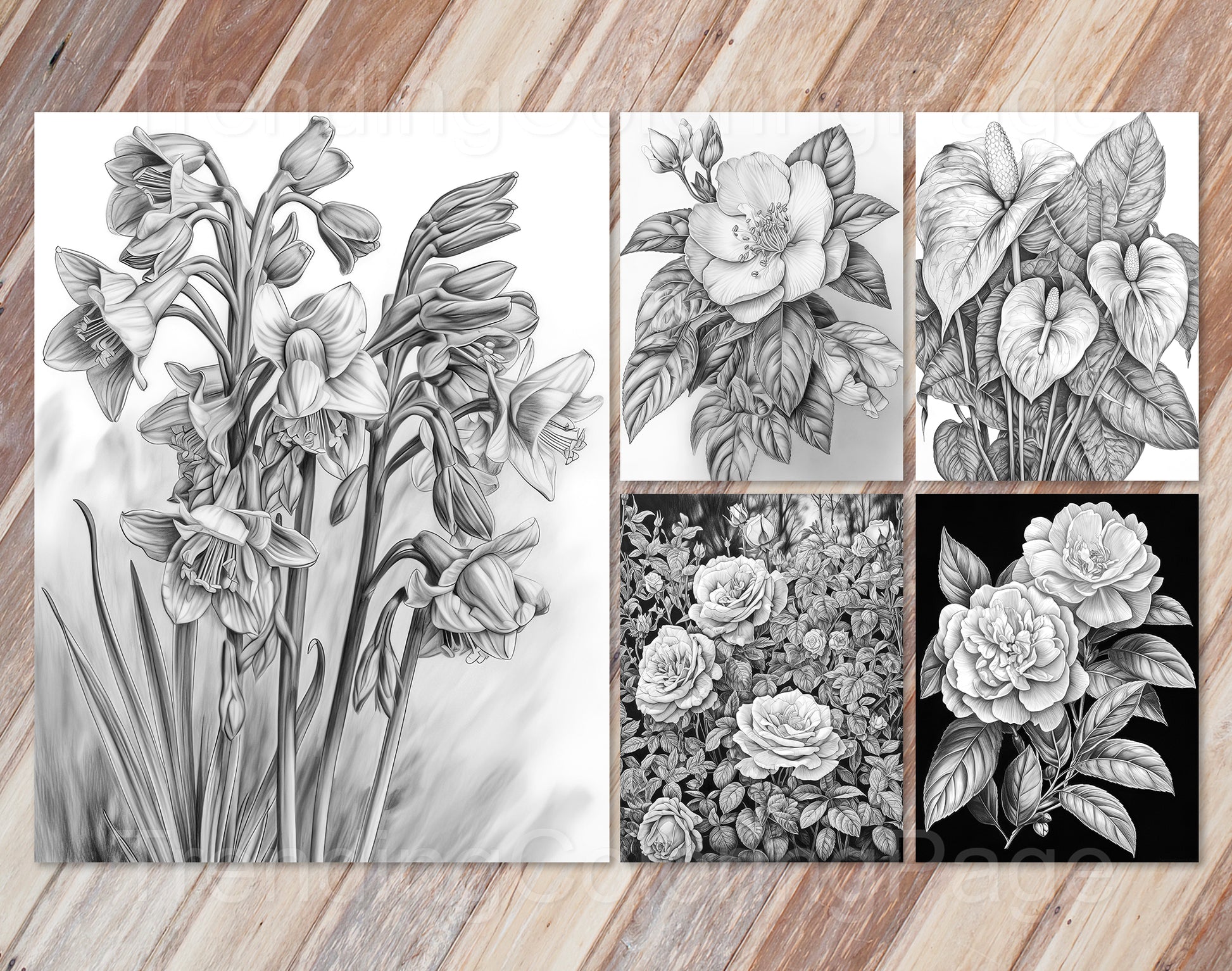 30 Enchanted Blooms Grayscale Coloring Pages - Instant Download - Printable PDF Dark/Light – preview 7