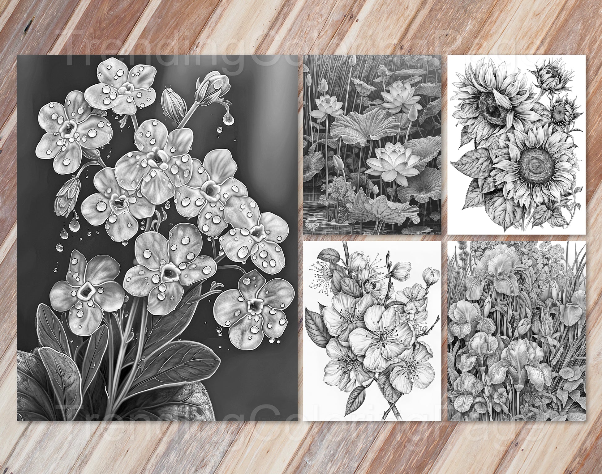 30 Enchanted Blooms Grayscale Coloring Pages - Instant Download - Printable PDF Dark/Light – preview 8