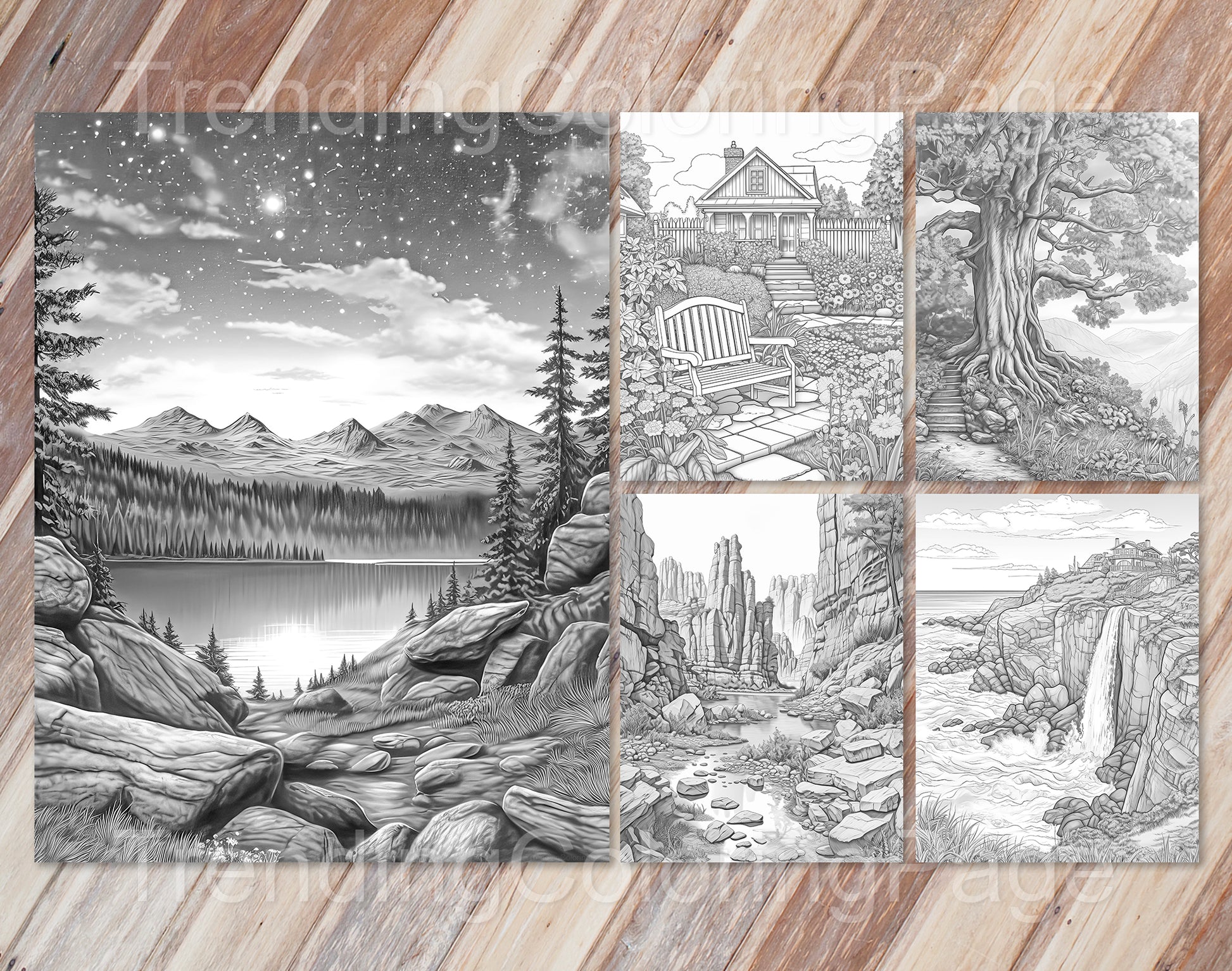 35 Mindful Nature Grayscale Coloring Pages- Instant Download - Printable PDF Dark/Light – preview 4