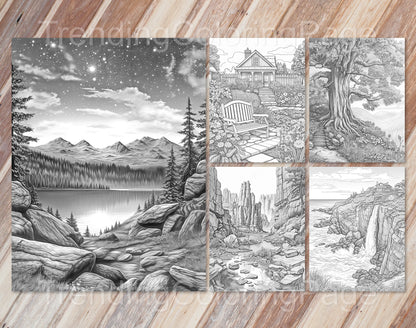 35 Mindful Nature Grayscale Coloring Pages- Instant Download - Printable PDF Dark/Light – preview 4