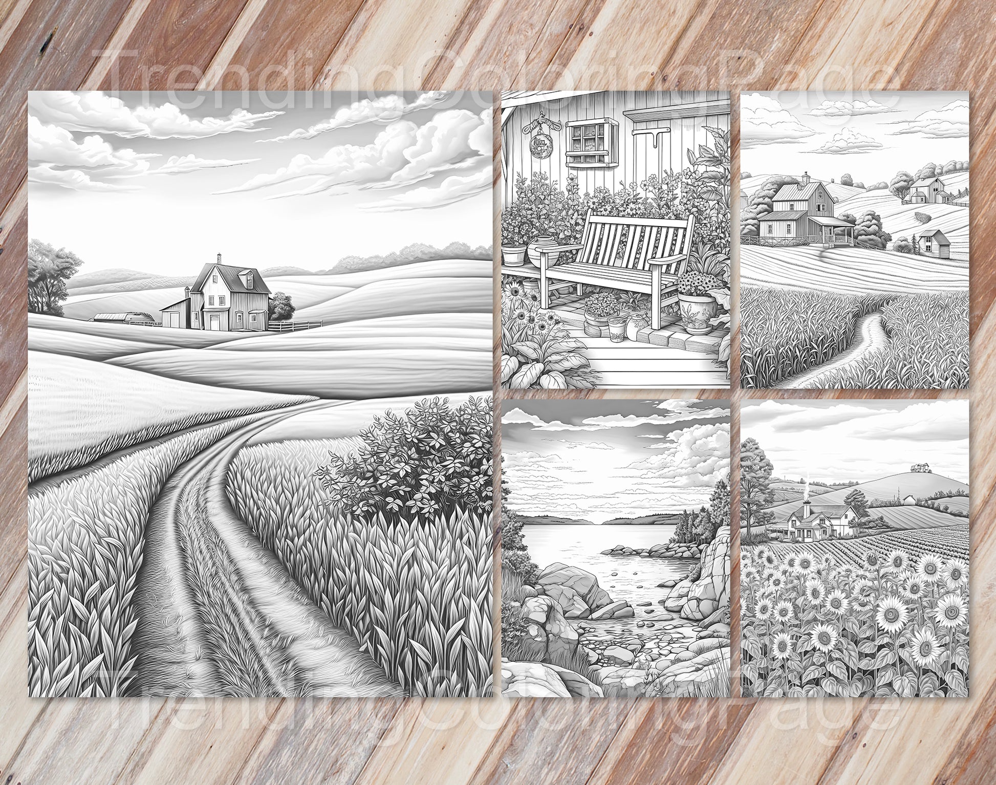 35 Mindful Nature Grayscale Coloring Pages- Instant Download - Printable PDF Dark/Light – preview 7