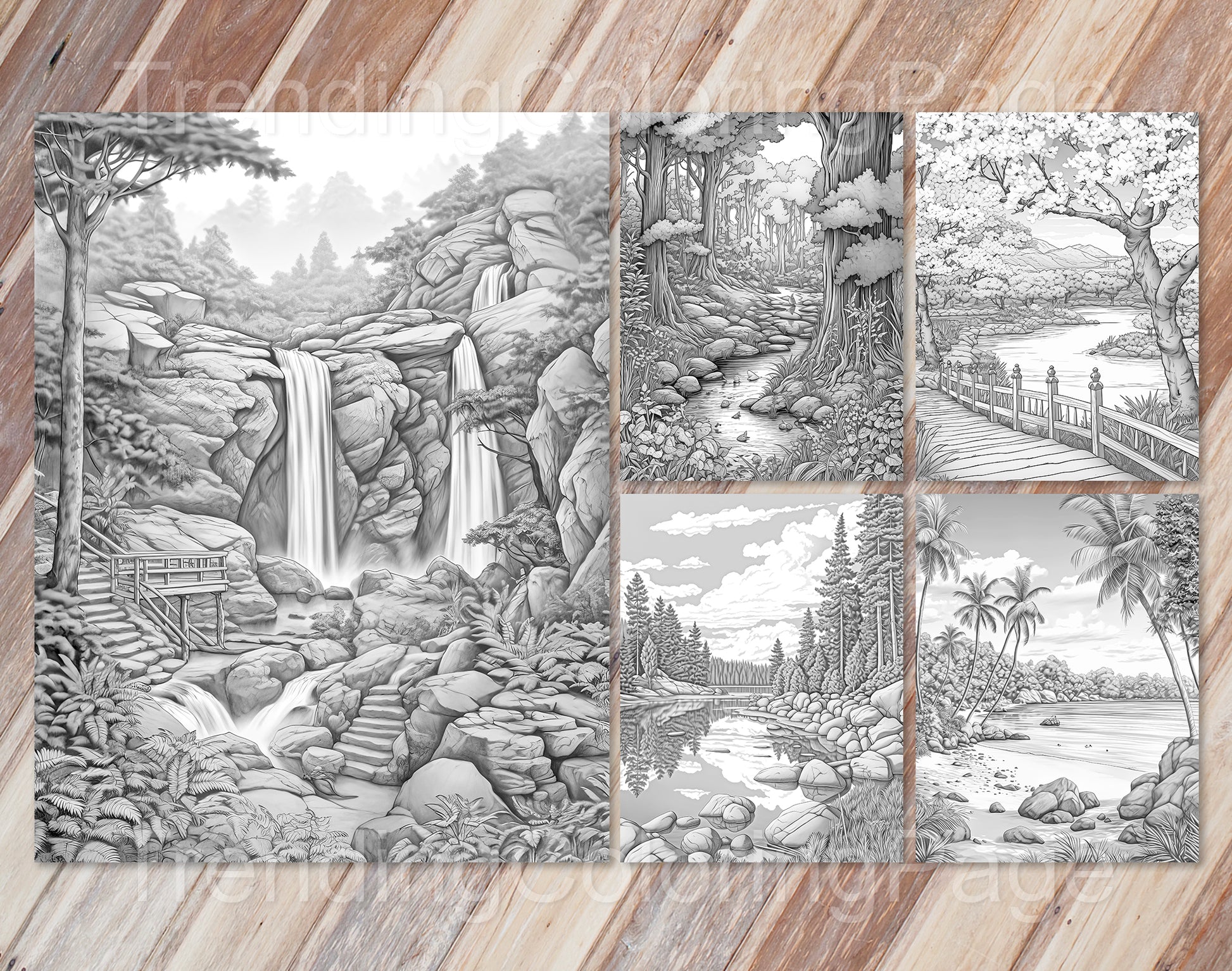 35 Mindful Nature Grayscale Coloring Pages- Instant Download - Printable PDF Dark/Light – preview 8