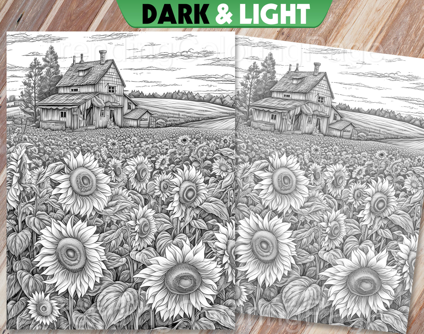 35 Mindful Nature Grayscale Coloring Pages- Instant Download - Printable PDF Dark/Light – preview 9