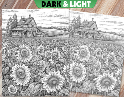 35 Mindful Nature Grayscale Coloring Pages- Instant Download - Printable PDF Dark/Light – preview 9