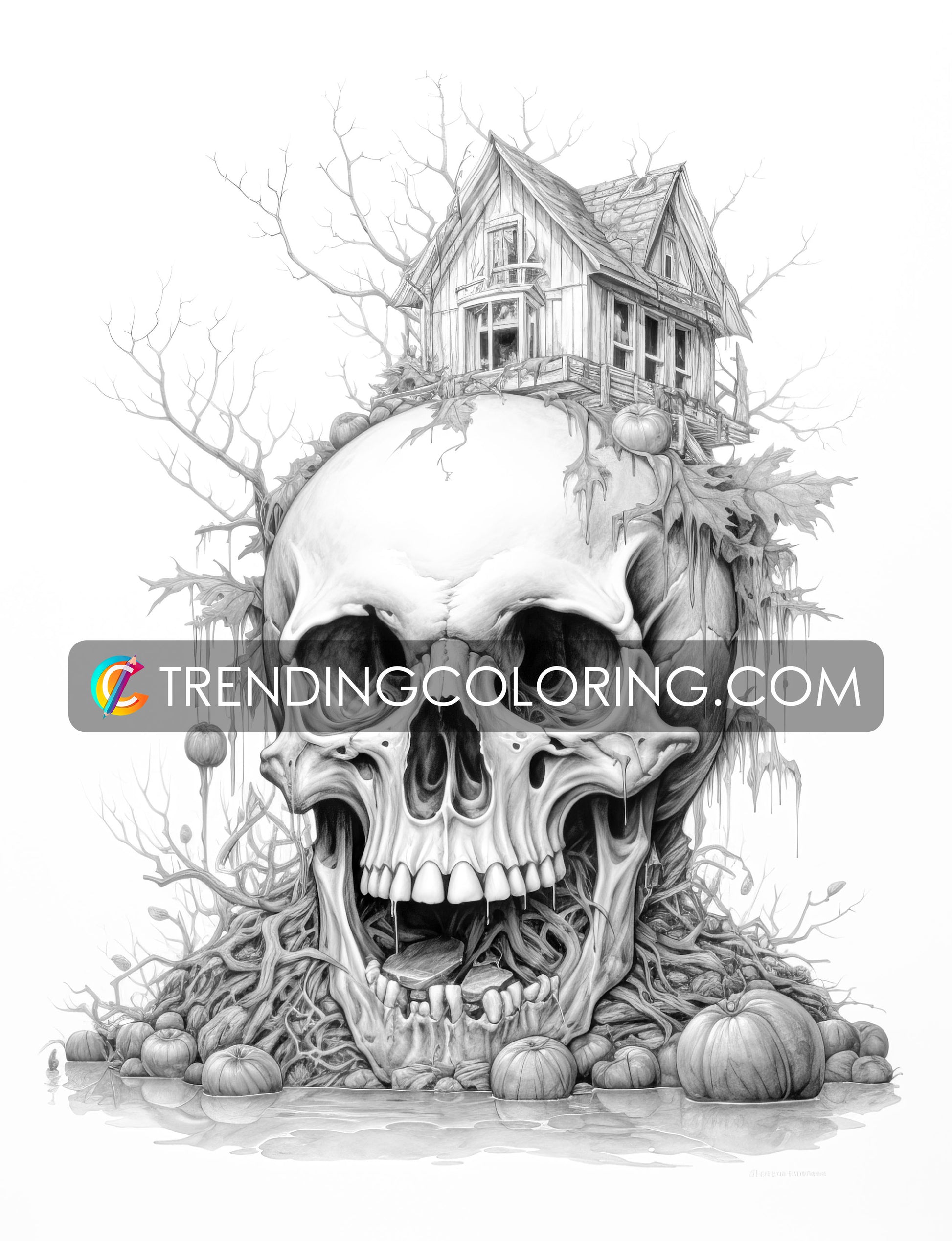 40 Skull House Grayscale Coloring Pages - Halloween Coloring - Instant Download - Printable PDF Dark/Light – preview 6