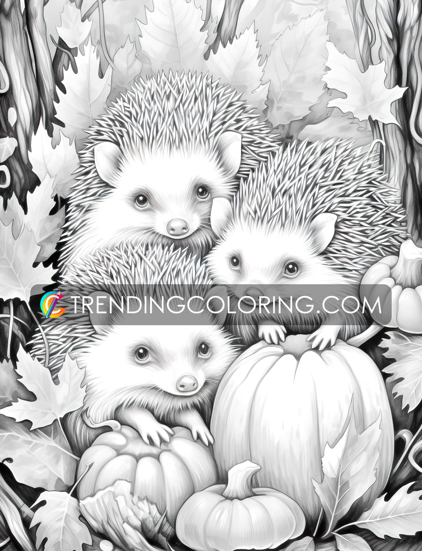 50 Autumn Critters Grayscale Coloring Pages - Instant Download - Printable PDF Dark/Light