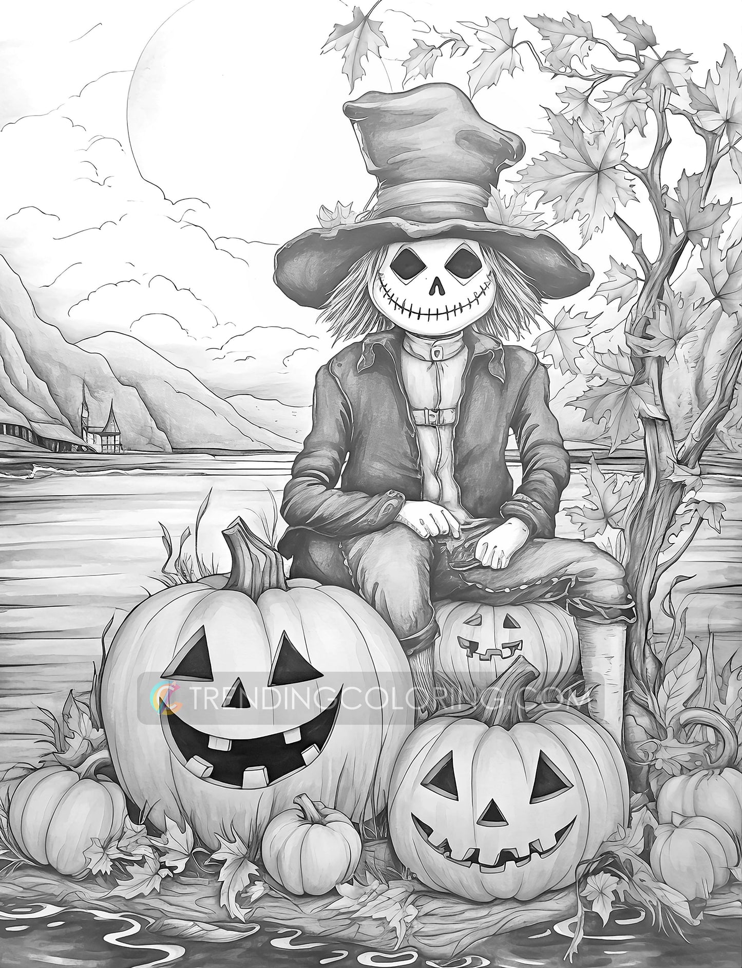 25 Scarecrow’s Adventure Grayscale Coloring Pages  - Instant Download - Printable PDF Dark/Light