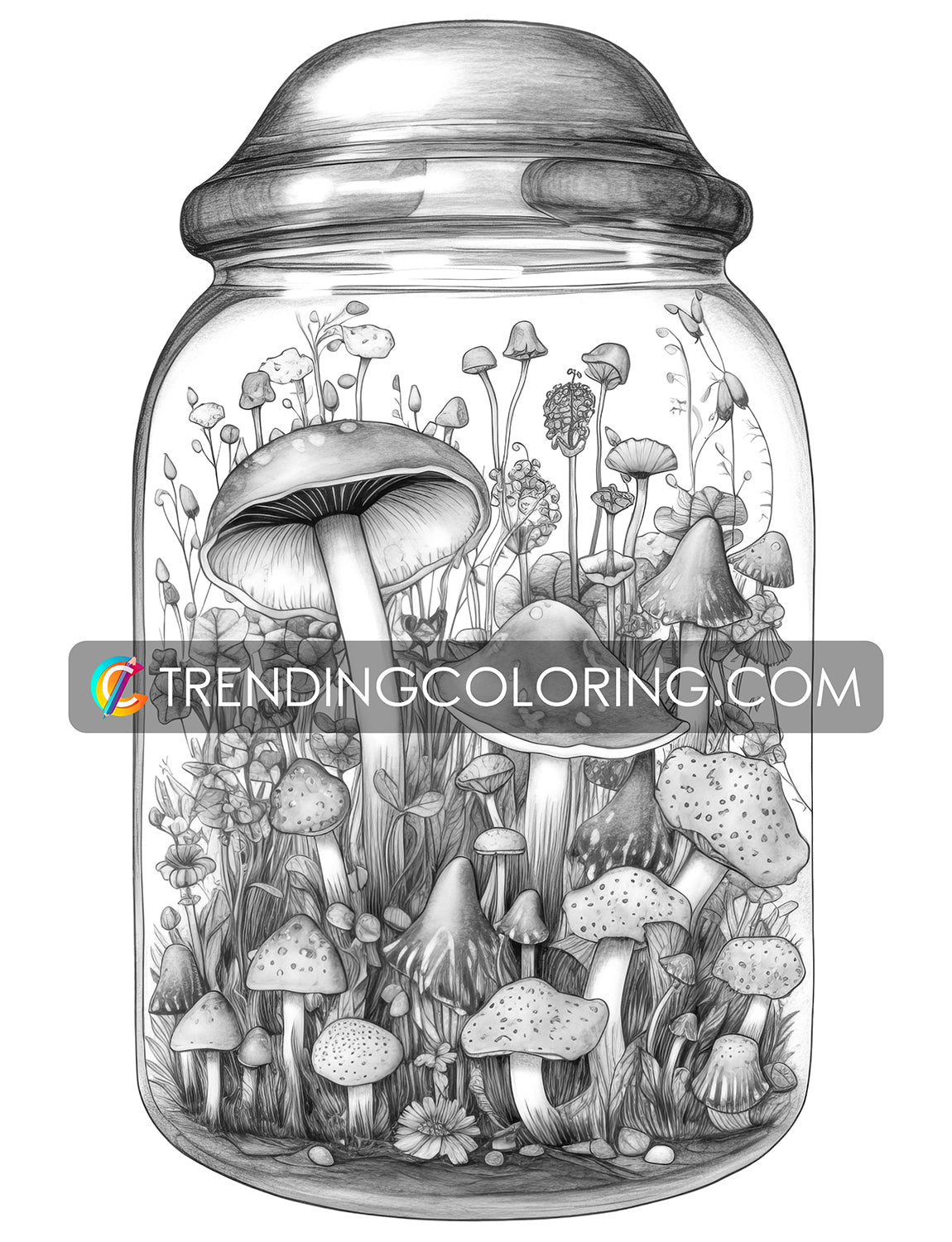 25 Mushroom Forest In Jar Grayscale Coloring Pages - Instant Download - Printable PDF Dark/Light