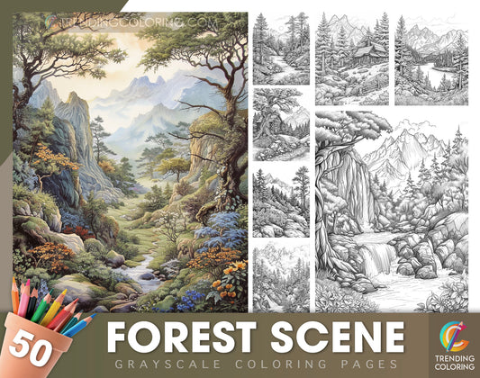 50 Forest Scene Grayscale Coloring Pages - Instant Download - Printable PDF Dark/Light
