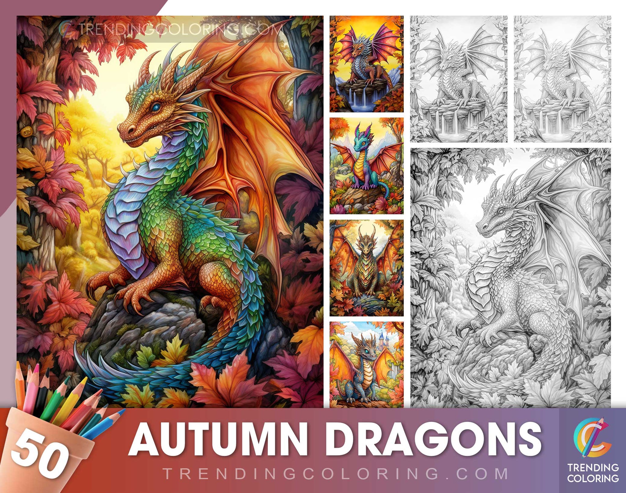 50 Autumn Dragons Grayscale Coloring Pages - Instant Download - Printa ...
