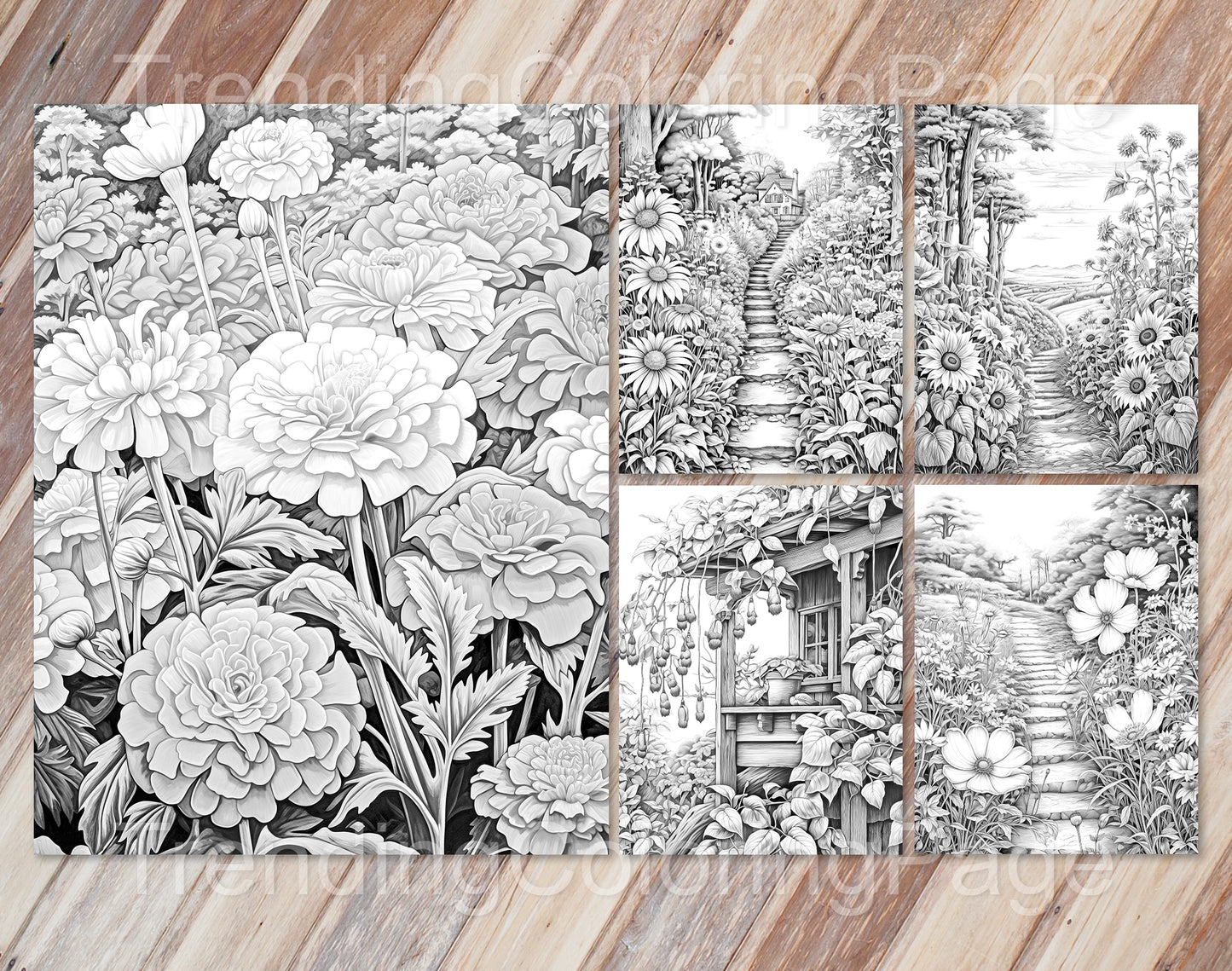50 Autumn Blooms Grayscale Coloring Pages - Instant Download - Printable PDF Dark/Light – preview 2