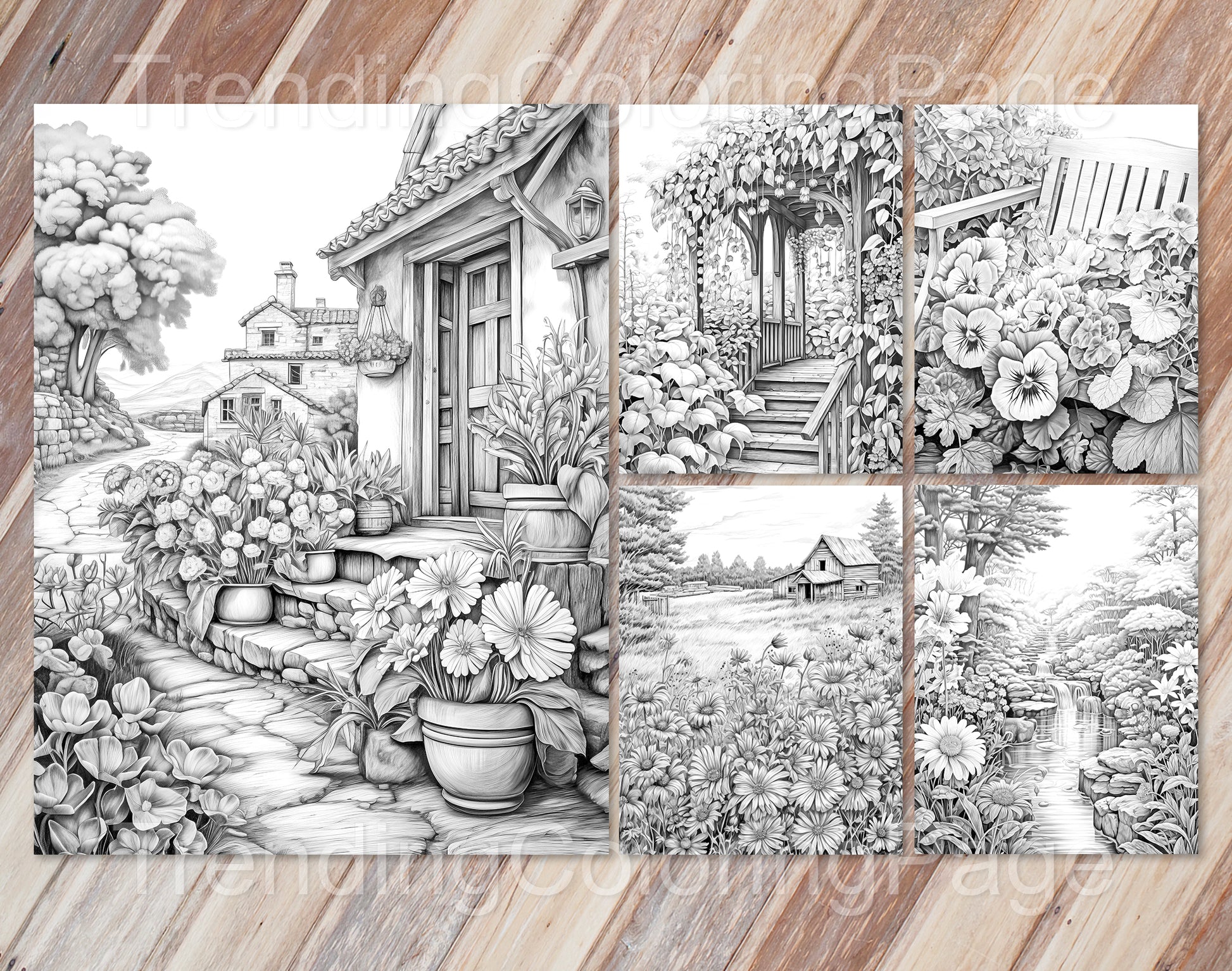 50 Autumn Blooms Grayscale Coloring Pages - Instant Download - Printable PDF Dark/Light – preview 3