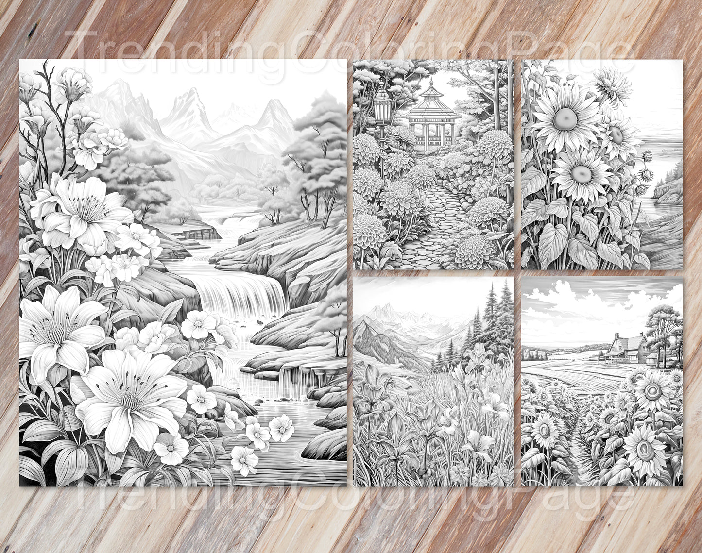 50 Autumn Blooms Grayscale Coloring Pages - Instant Download - Printable PDF Dark/Light – preview 6