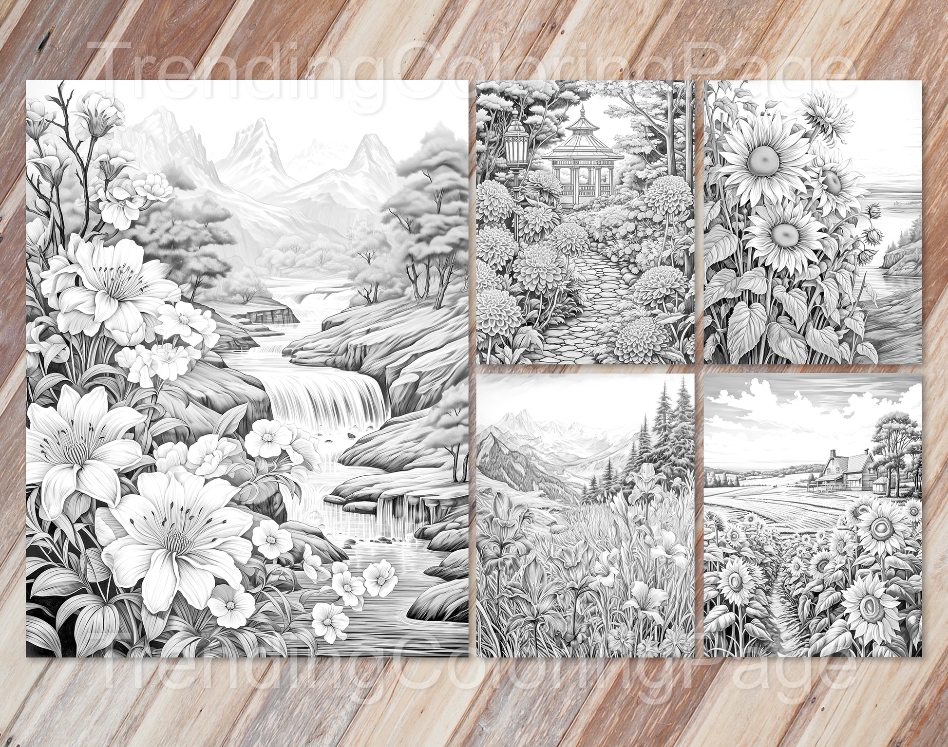 50 Autumn Blooms Grayscale Coloring Pages - Instant Download - Printable PDF Dark/Light – preview 6