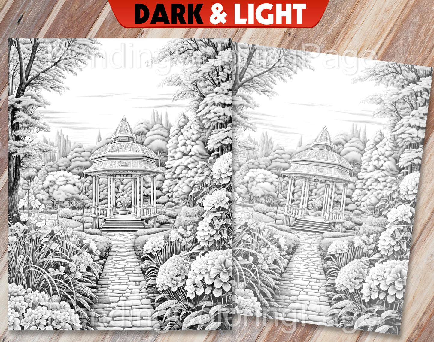 50 Autumn Blooms Grayscale Coloring Pages - Instant Download - Printable PDF Dark/Light – preview 7