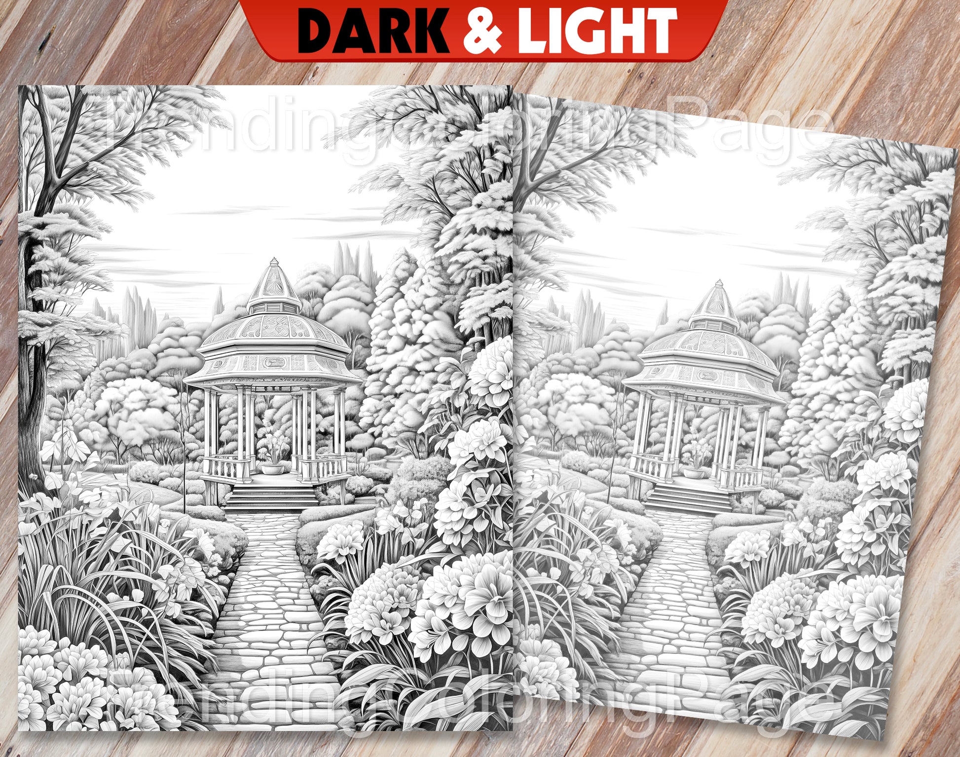 50 Autumn Blooms Grayscale Coloring Pages - Instant Download - Printable PDF Dark/Light – preview 7