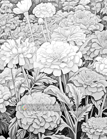 50 Autumn Blooms Grayscale Coloring Pages - Instant Download - Printable PDF Dark/Light – preview 8