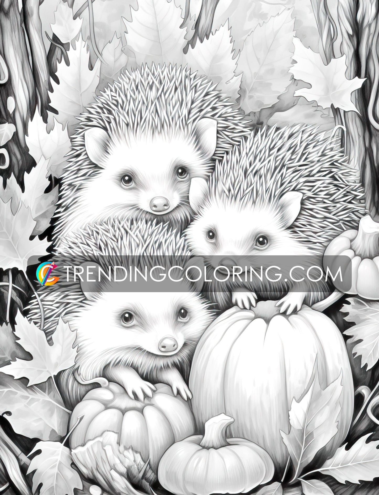 50 Autumn Critters Grayscale Coloring Pages - Instant Download - Printable PDF Dark/Light – preview 8