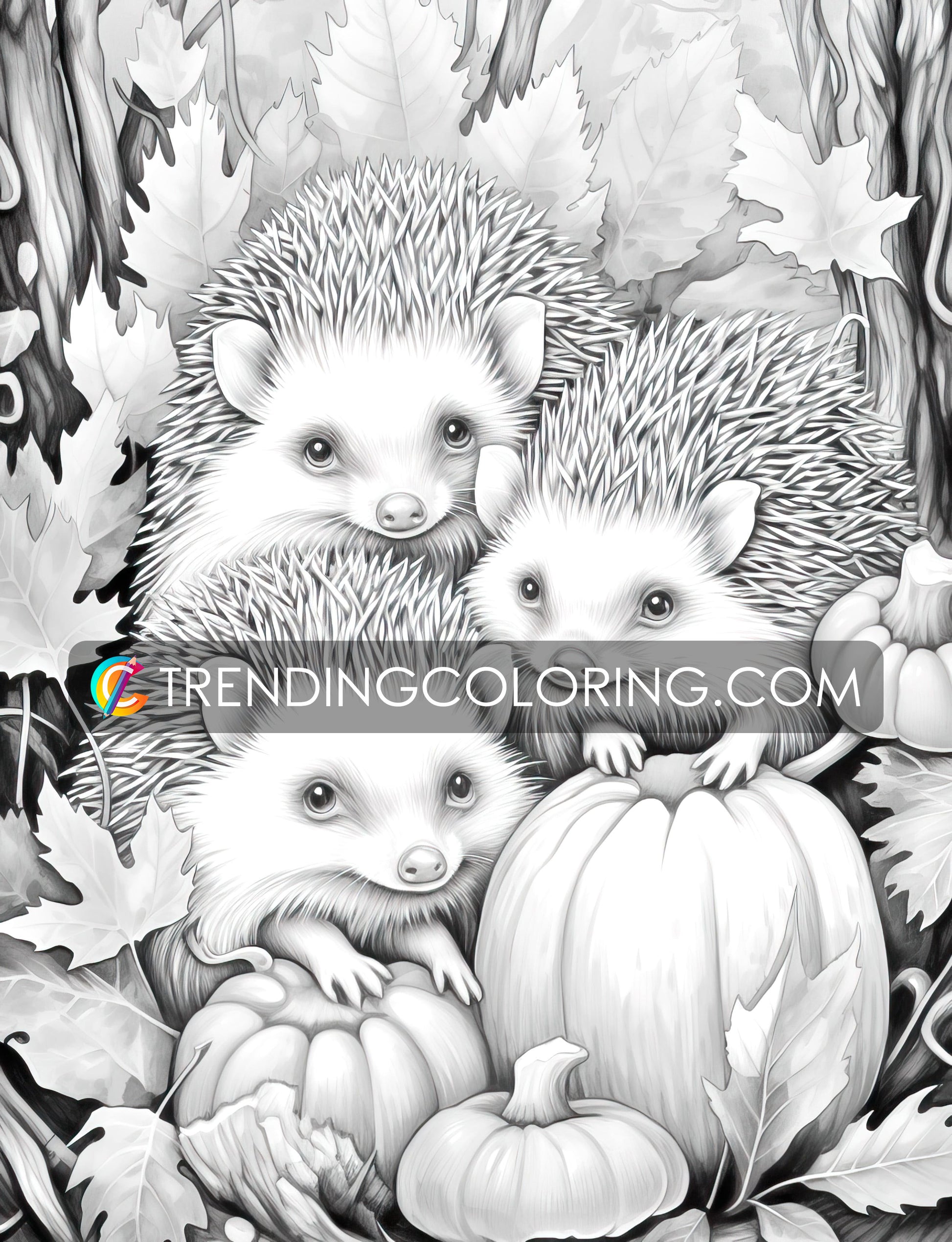 50 Autumn Critters Grayscale Coloring Pages - Instant Download - Printable PDF Dark/Light – preview 8