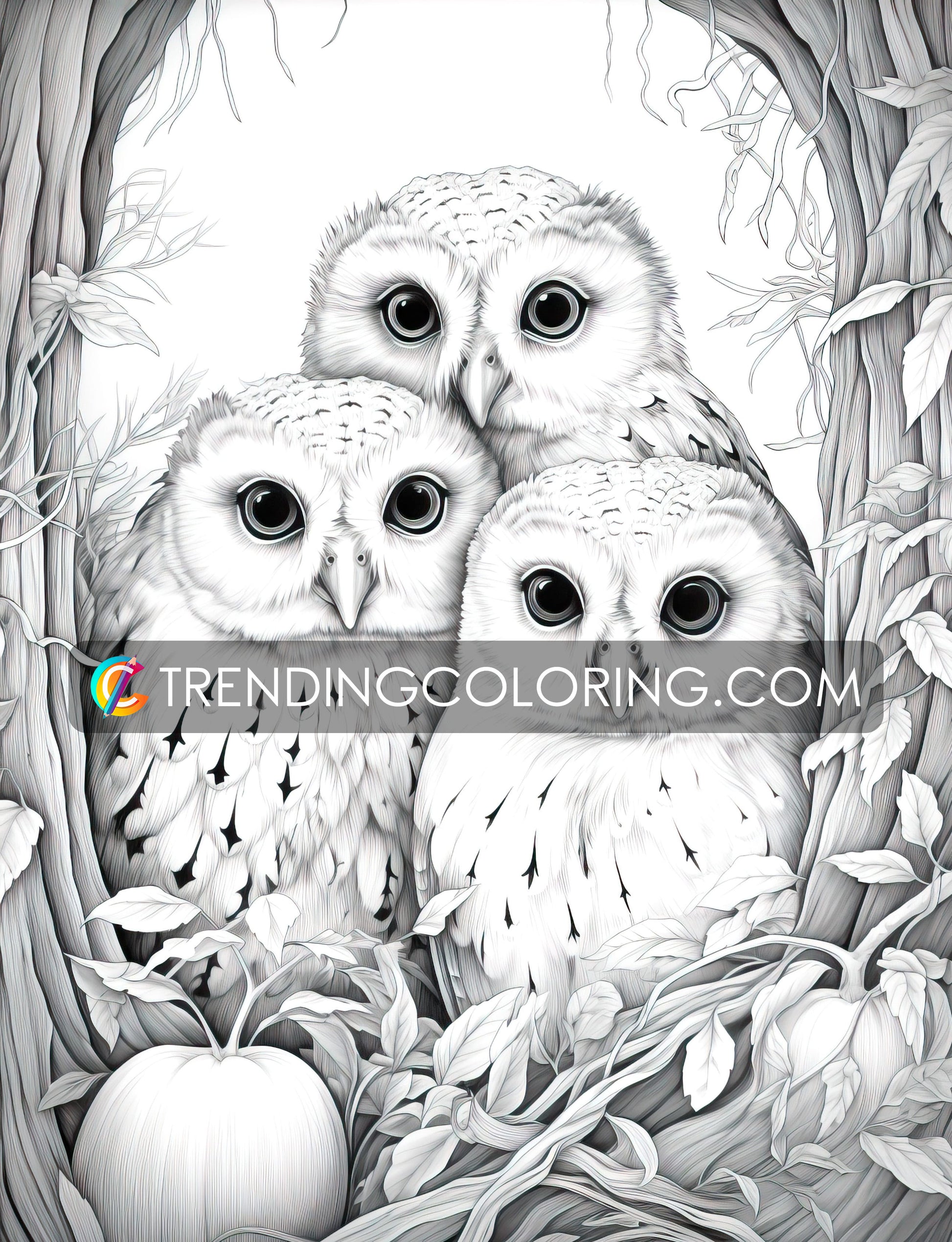 50 Autumn Critters Grayscale Coloring Pages - Instant Download - Printable PDF Dark/Light – preview 9