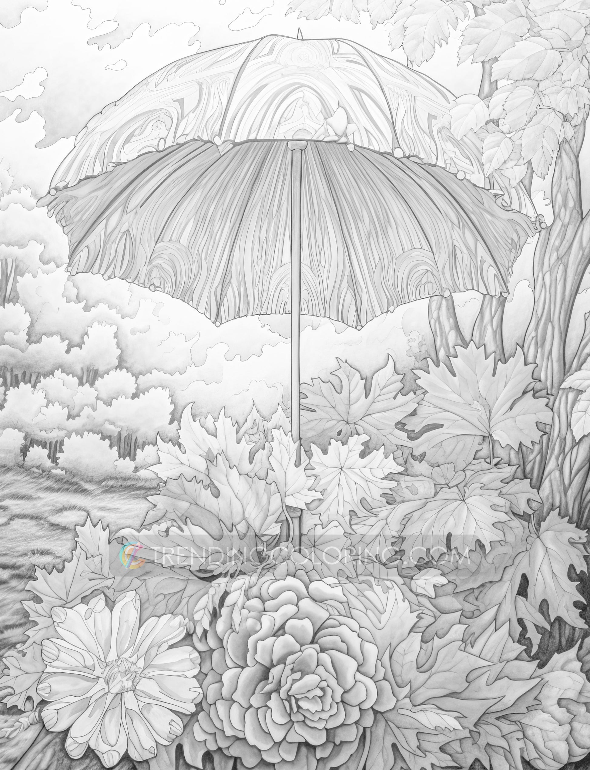 50 Autumn Umbrella Grayscale Coloring Pages - Instant Download - Printable PDF Dark/Light – preview 8