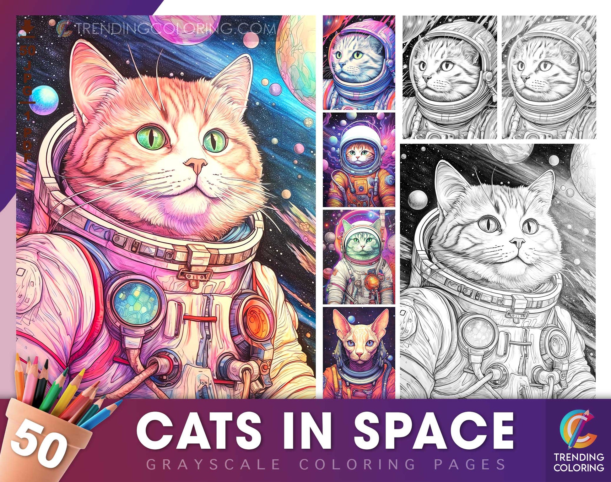 50 Cat In Space Grayscale Coloring Pages - Instant Download - Printable PDF Dark/Light