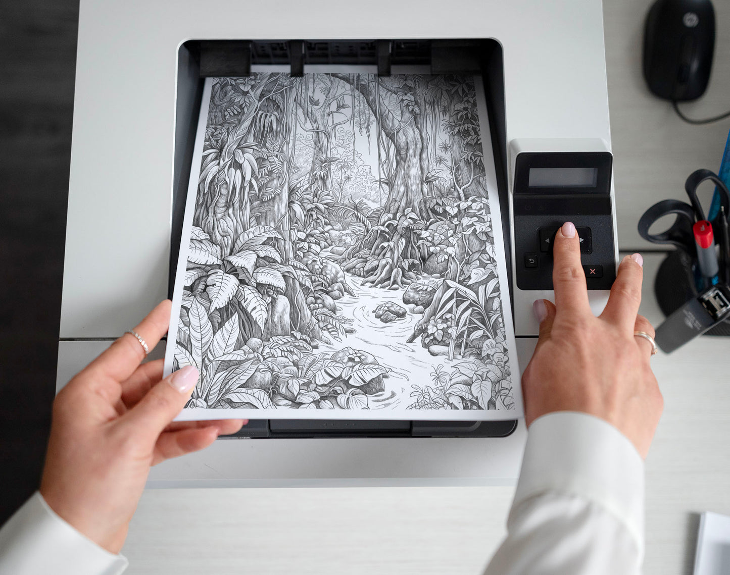 50 Forest Scene Grayscale Coloring Pages - Instant Download - Printable PDF Dark/Light – preview 2