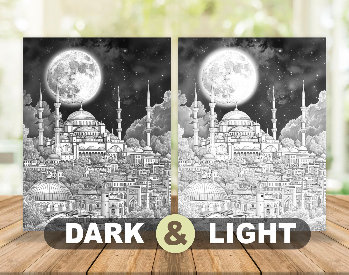 50 Moon Night Grayscale Coloring Pages - Instant Download - Printable PDF Dark/Light – preview 4