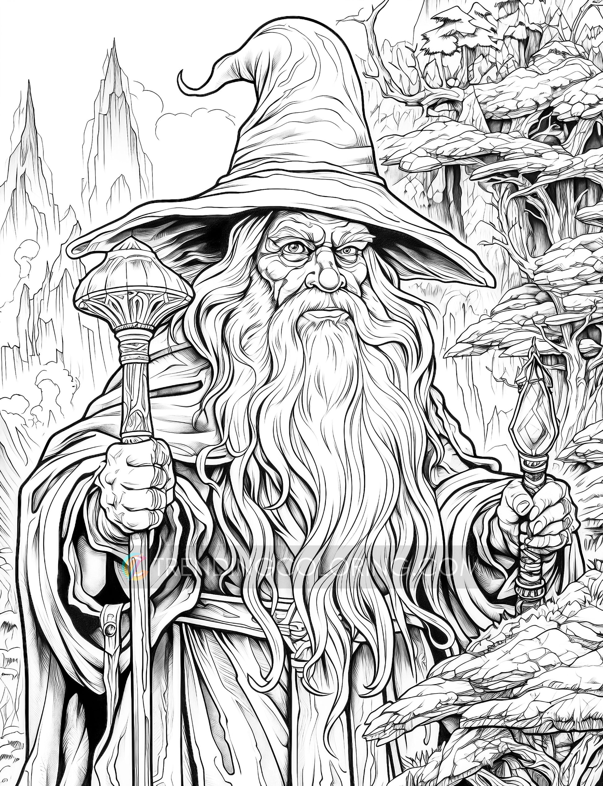 50 Powerful Wizard Coloring Pages - Halloween Coloring - Instant Download - Printable PDF – preview 6