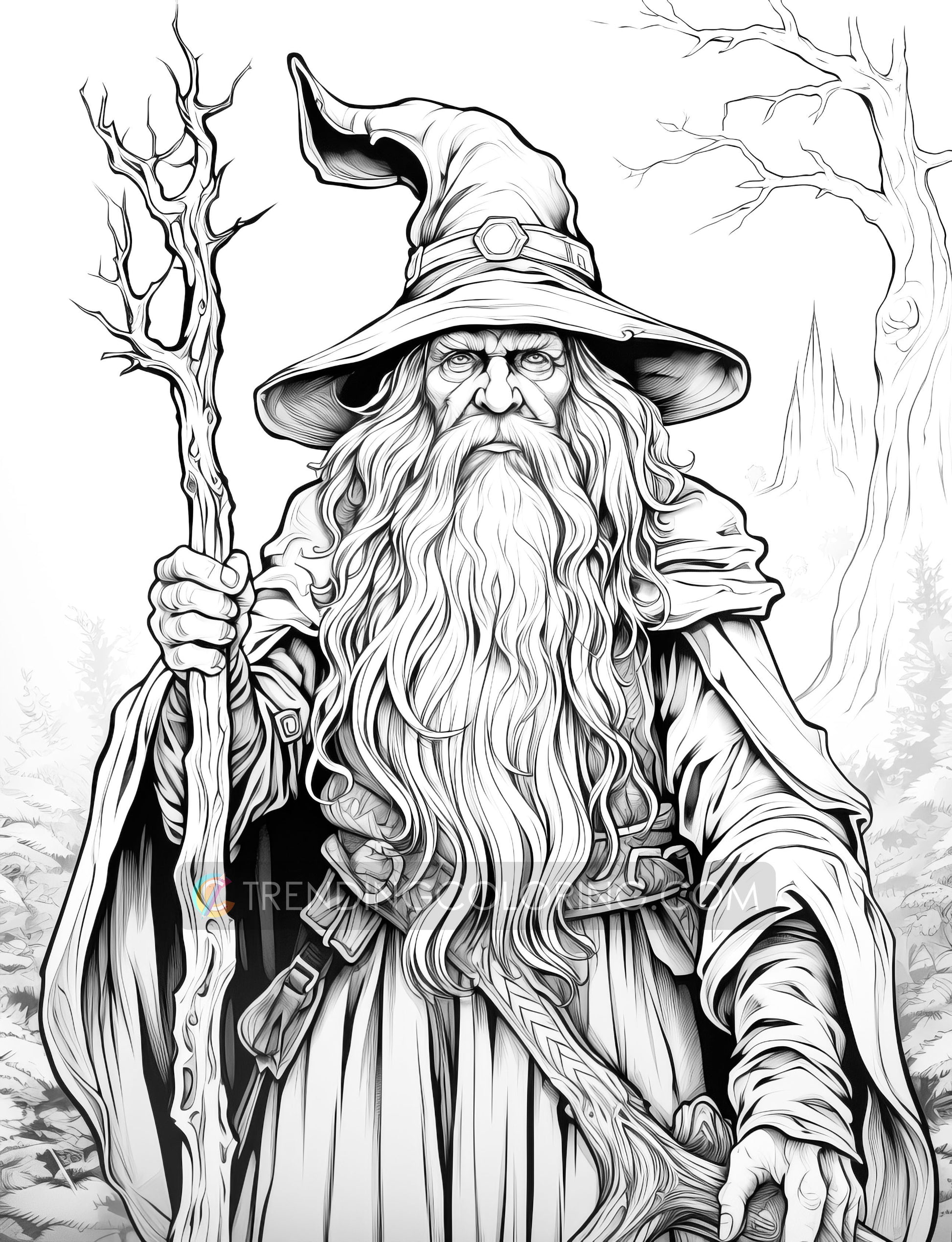 50 Powerful Wizard Coloring Pages - Halloween Coloring - Instant Download - Printable PDF – preview 9