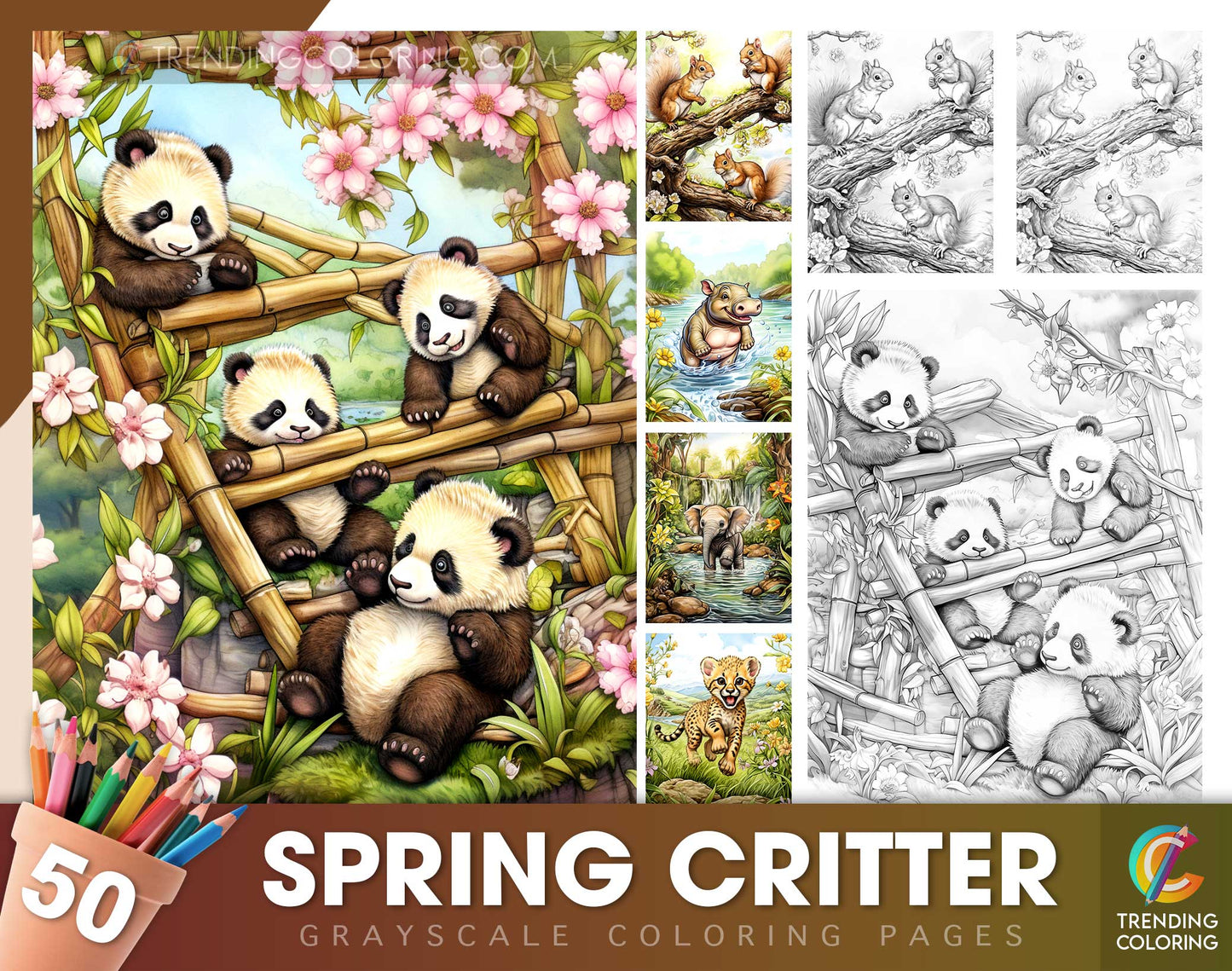 50 Spring Critter Grayscale Coloring Pages - Instant Download - Printable PDF Dark/Light