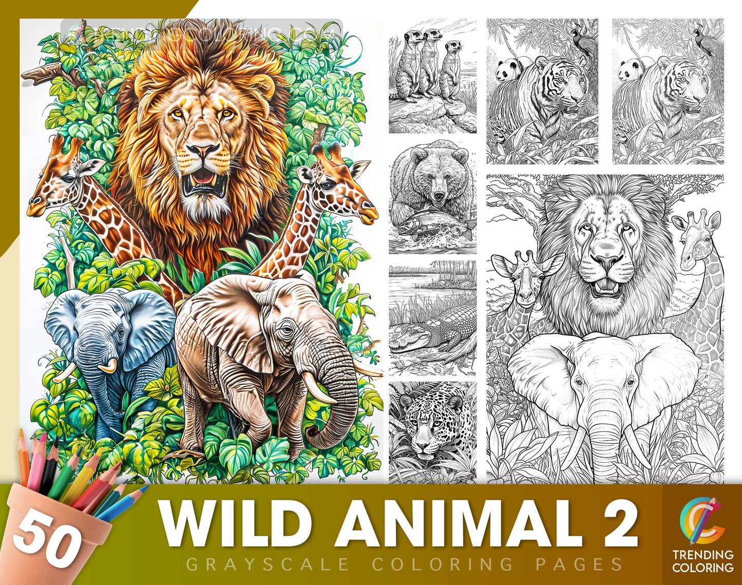 50 Wild Animal 2 Grayscale Coloring Pages - Instant Download - Printable PDF Dark/Light