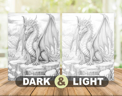 50 Winter Dragon Grayscale Coloring Pages - Instant Download - Printable PDF Dark/Light – preview 5