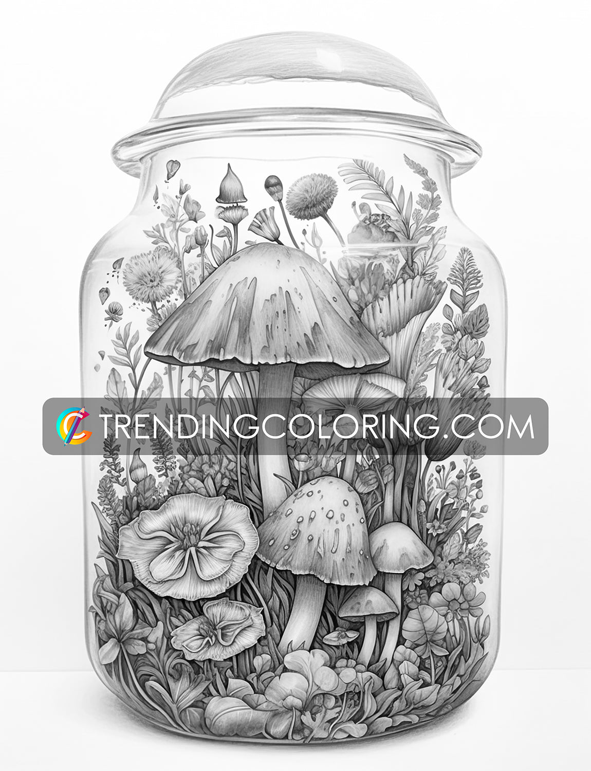 25 Mushroom Forest In Jar Grayscale Coloring Pages - Instant Download - Printable PDF Dark/Light