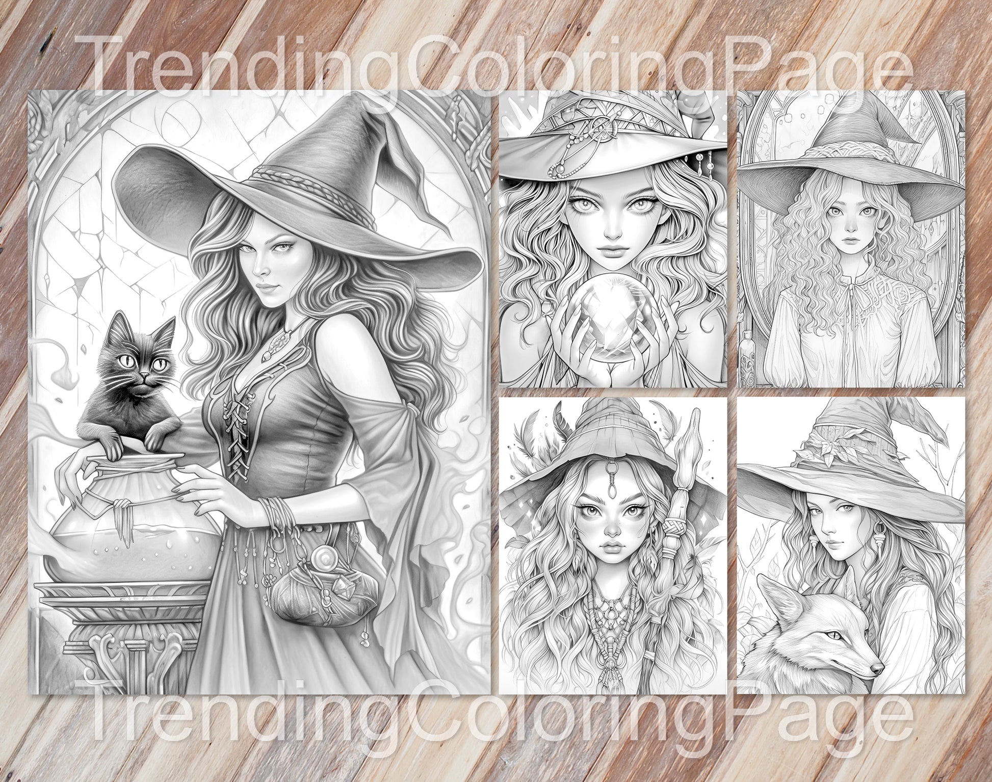 70 Beauty Witches Grayscale Coloring Pages - Instant Download - Printable PDF – preview 4