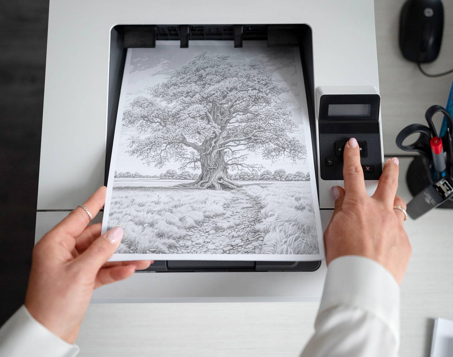 70 Trees Around The World Grayscale Coloring Pages - Instant Download - Printable PDF Dark/Light – preview 2