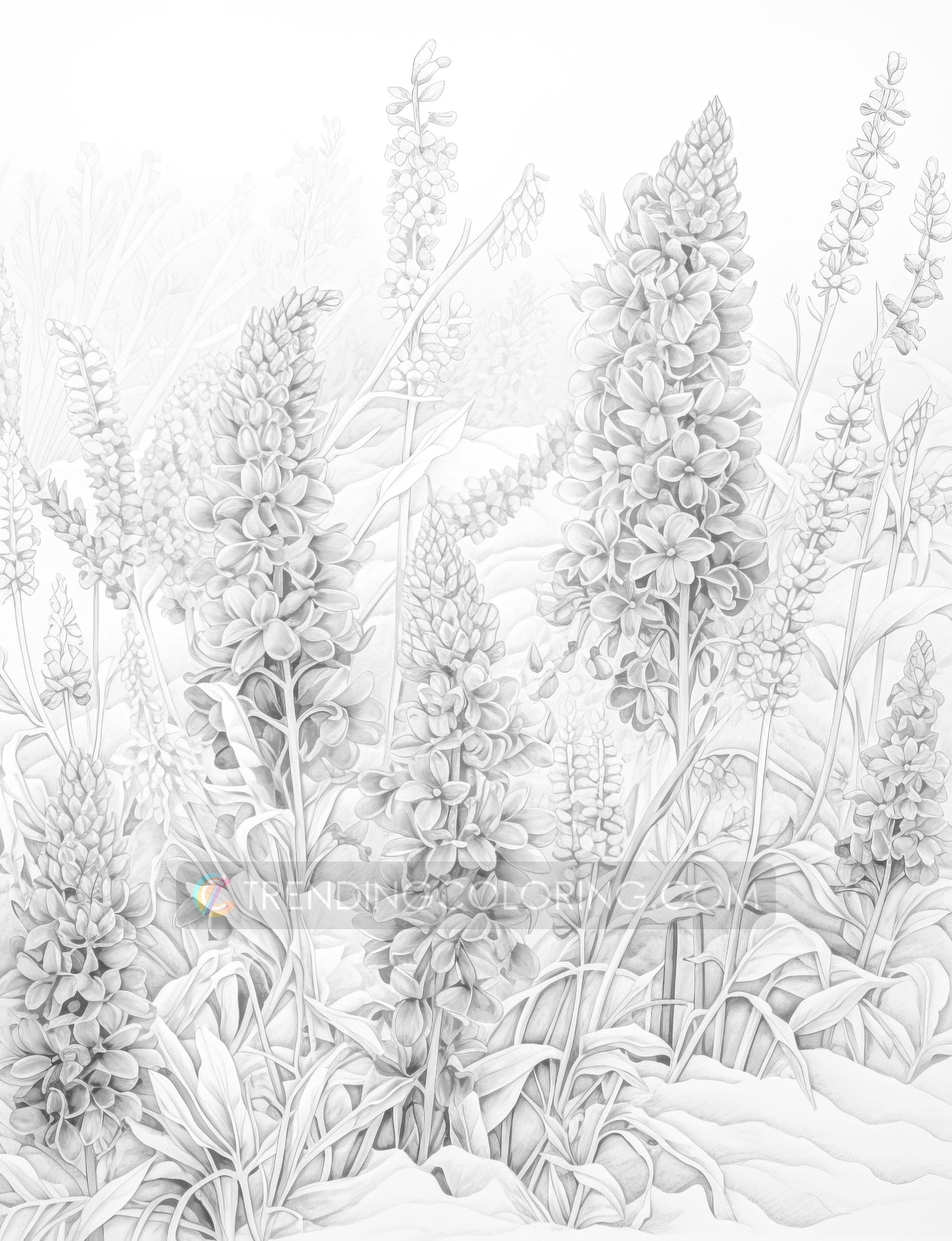 70 Winter Flower Grayscale Coloring Pages - Instant Download - Printable PDF Dark/Light – preview 10