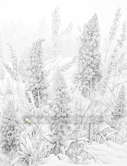 70 Winter Flower Grayscale Coloring Pages - Instant Download - Printable PDF Dark/Light – preview 10