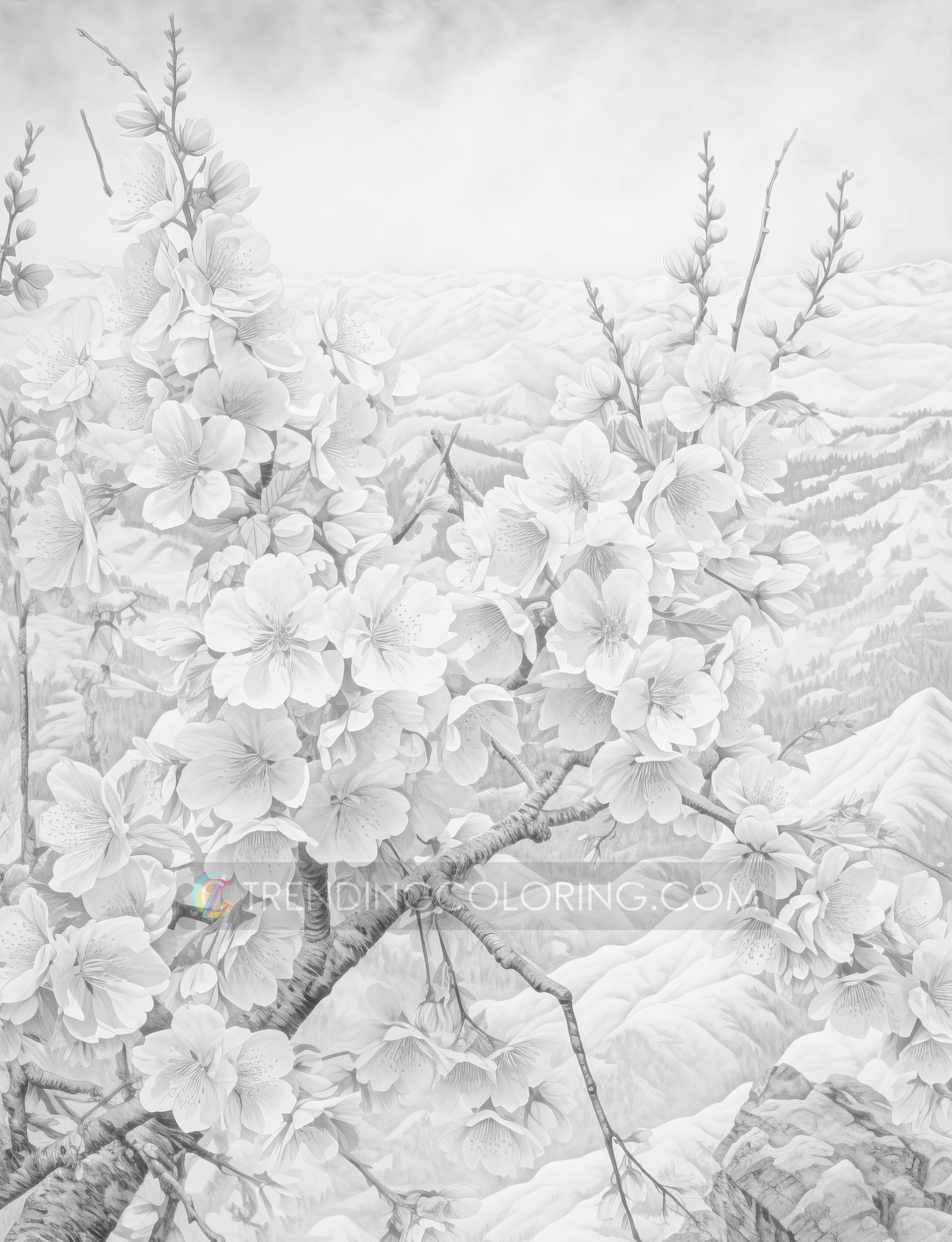70 Winter Flower Grayscale Coloring Pages - Instant Download - Printable PDF Dark/Light – preview 9