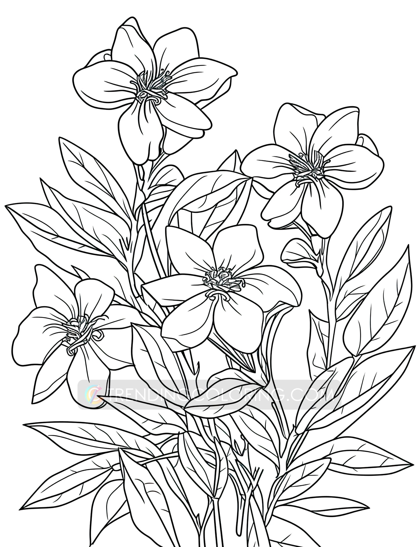 101 Floral Charm Coloring Pages - Instant Download - Printable