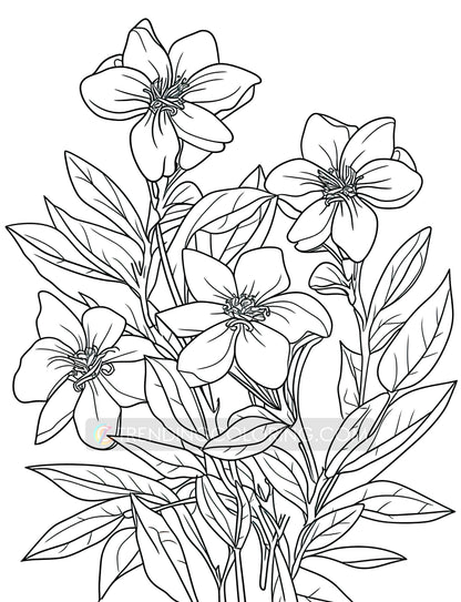 101 Floral Charm Coloring Pages - Instant Download - Printable