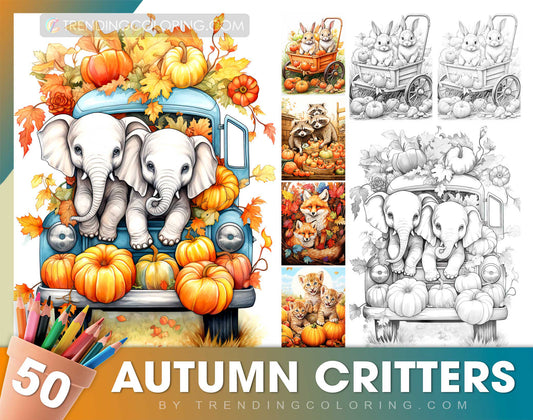50 Autumn Critters Grayscale Coloring Pages - Instant Download - Printable Dark/Light