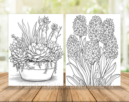 101 Floral Charm Coloring Pages - Instant Download - Printable