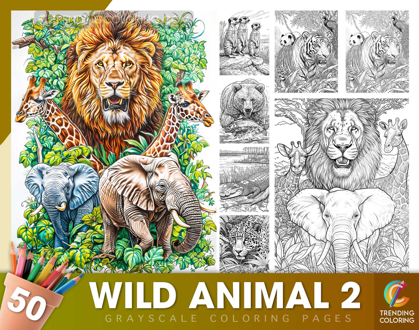 50 Wild Animal 2 Grayscale Coloring Pages - Instant Download - Printable Dark/Light