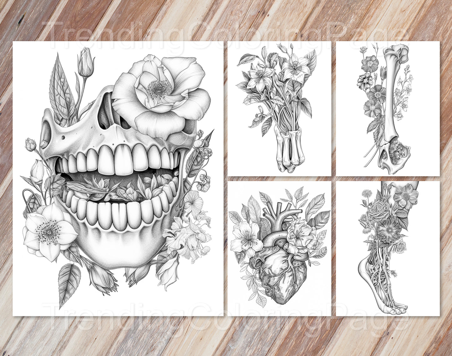 20 Floral Anatomy Grayscale Coloring Pages - Instant Download - Printable Dark/Light