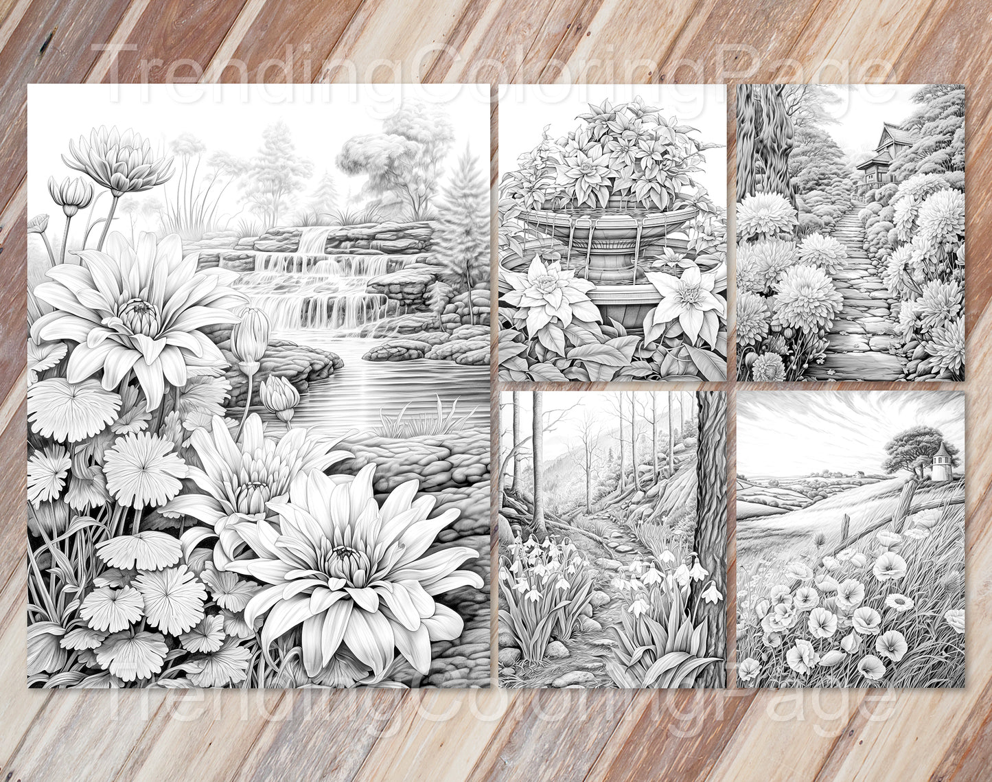 50 Autumn Blooms Grayscale Coloring Pages - Instant Download - Printable PDF Dark/Light