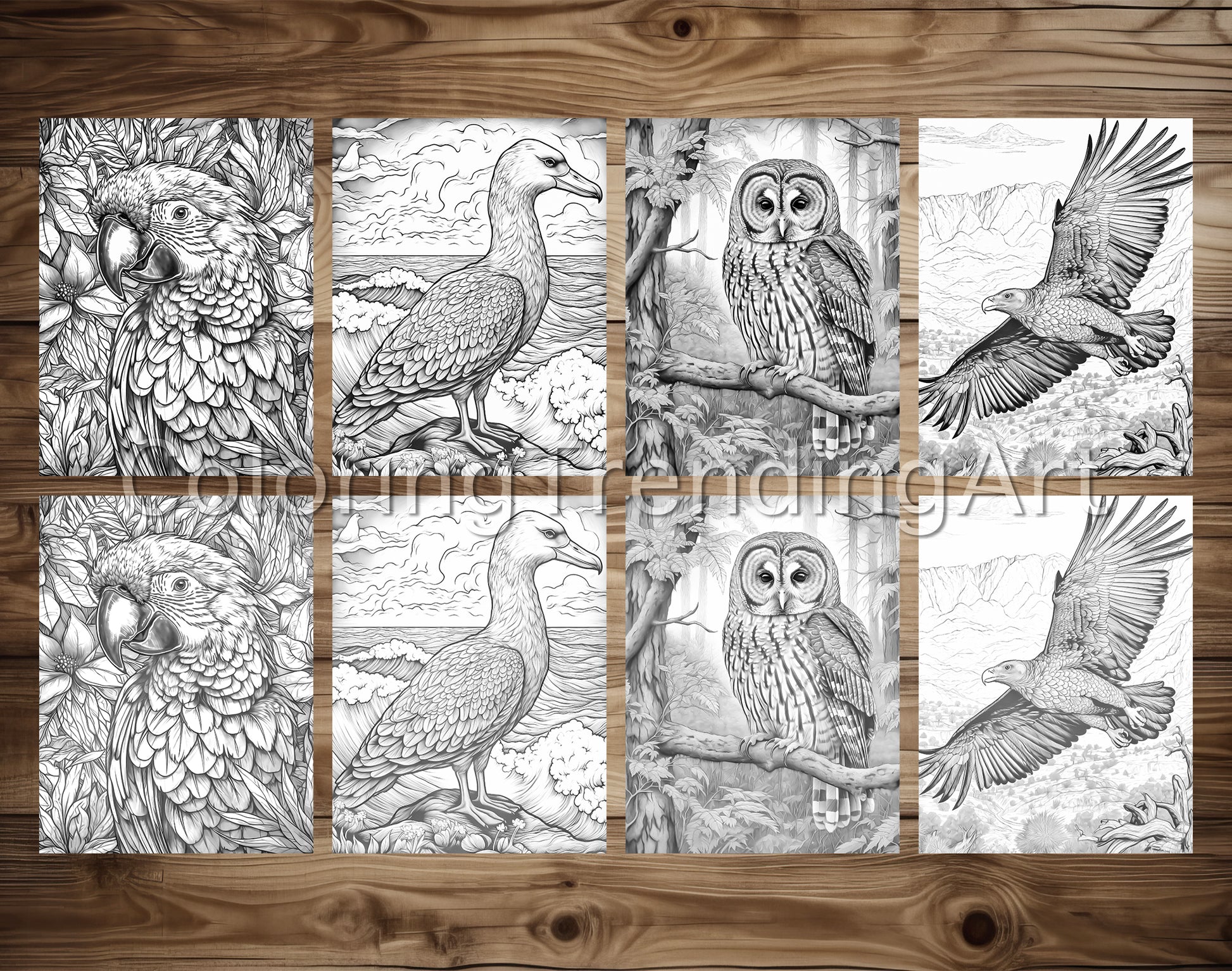 25 Amazing Birds Grayscale Coloring Pages Of Adorable Baby Angels - Instant Download - Printable PDF - TrendingColoring