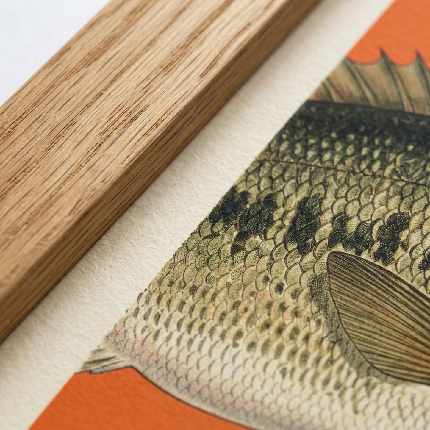 Bass on the Phone Wall Art Decor preview 12