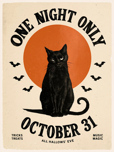 Black Cat One Night Only Wall Art Decor